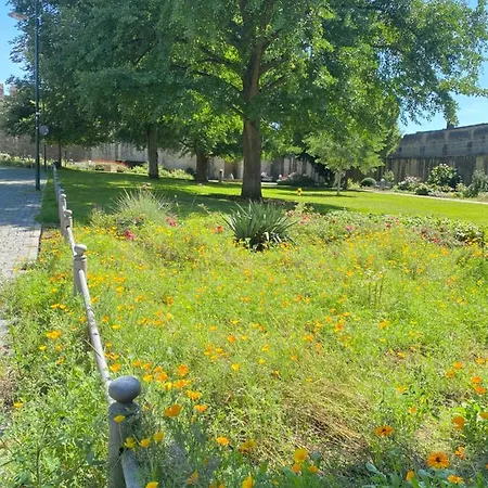 Haeuschen Am Plenzer 別荘 インゲルハイム・アム・ライン
