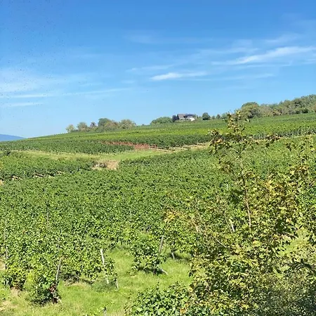 Haeuschen Am Plenzer Ferienhaus