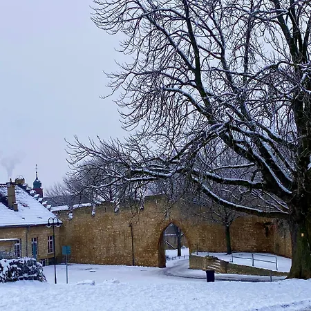 Haeuschen Am Plenzer 別荘 インゲルハイム・アム・ライン