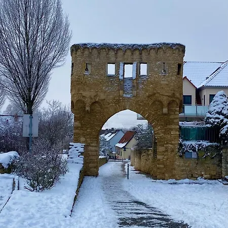Ferienhaus Haeuschen Am Plenzer Ingelheim am Rhein