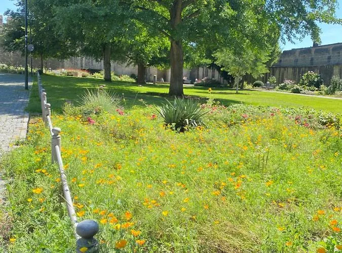 Haeuschen Am Plenzer בית נופש אינגלהיים אם ריין