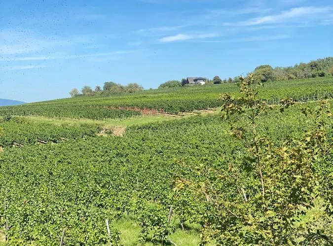 Haeuschen Am Plenzer בית נופש