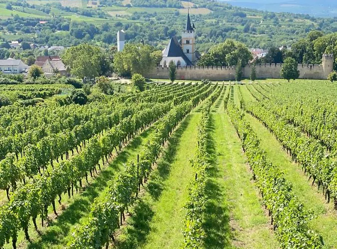 בית נופש Haeuschen Am Plenzer