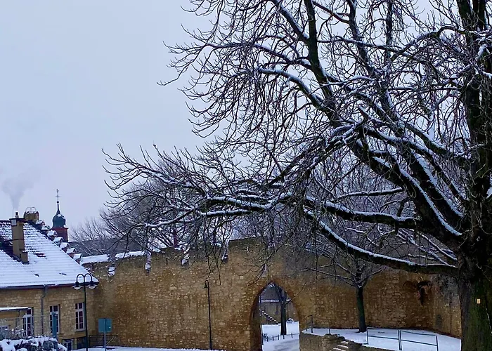 Haeuschen Am Plenzer בית נופש אינגלהיים אם ריין